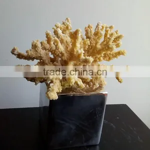 Polyresin Coral Decoration thumbnail-3
