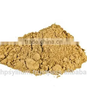 Fennel Seed Powder thumbnail-1