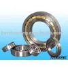 Cylindrical Roller Bearing thumbnail-1