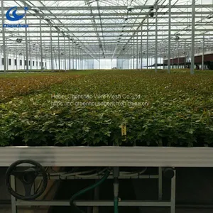 Greenhouse Rolling Bench Ebb and Flow Rolling Table for Seedling thumbnail-4