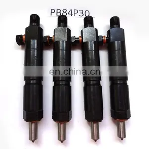 YTO Dongfanghong Engine Parts Injector Assembly PB84P30 thumbnail-2