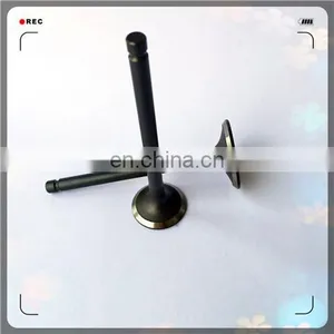 Oem 5S6452 5S6449 Engine Valve for 3304 Catd4 thumbnail-6