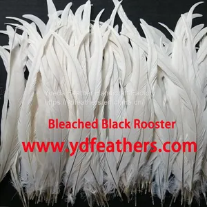 Bleached Black Rooster Tail Feather for Wholesale From China thumbnail-1