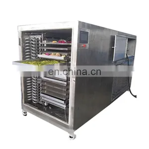 Large Freeze Dryer Lyophilizer 100kg 500kg 1000kg 3000kg Lyophilizer Freeze Dryer Customizable Lyophilized Vials thumbnail-4