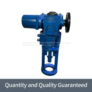 Bernard Induced Draft Fan A + Z160/F1200 Straight Travel Electric Control Valve thumbnail-1