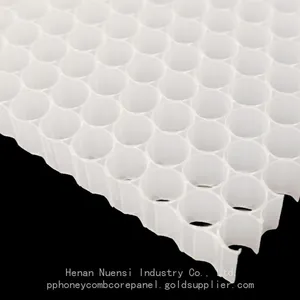 PP Honeycomb Core Used for Soundproofing thumbnail-1