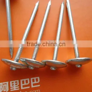 Bulk Umbrella Roofing Nail Manufacturer thumbnail-1