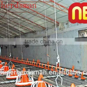 Automatic Poultry Farming Equipment Top Sale thumbnail-2