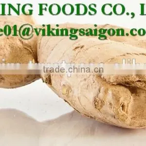 SPECIAL - 2016 - FROZEN GINGER GOOD QUALITY FROM VIET NAM thumbnail-5