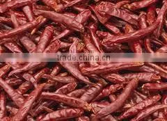Chillies thumbnail-1
