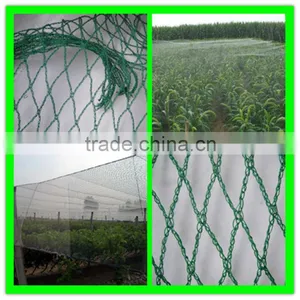 Virgin HDPE Plastic Bird Net/anti Flying Animal Protection Fence thumbnail-5