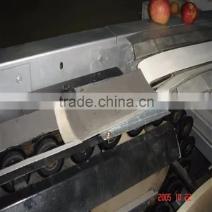Dragon Fruit Sorting Machine thumbnail-2