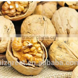 China OriginBulk Walnut in Shell thumbnail-6