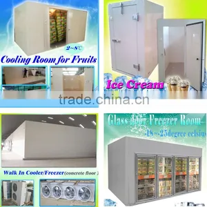 Frozen Cold Room for Meat and Fish thumbnail-1