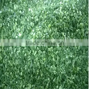 Frozen Spring Onions(shallot) High Quality thumbnail-1