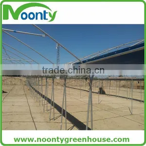 Multispan Tunnel Greenhouse for Flower thumbnail-1
