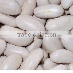 Alubia Beans thumbnail-1