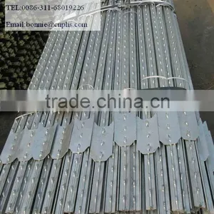Hot Dipped Galvanized Fence Post thumbnail-1