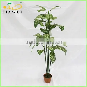 Cheap House Decorative Artificial Dieffenbachia Plant Tree for Sale thumbnail-1