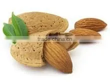 Talya Bitter Almond Oil thumbnail-1