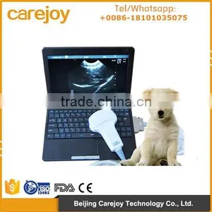 Animal Use Full Digital Veterinary Ultrasound Machine With 3.5MHz Convex Probe Vet RUS-9000V Supplier thumbnail-1
