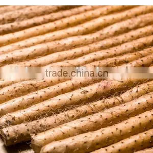 Manufacture Natural Super Quality Chinese Wild Yam Flour thumbnail-2