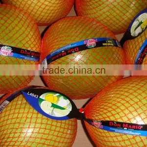 HONEY POMELO CROP 2010 thumbnail-1