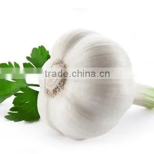 2016 Fresh Style Red Garlic thumbnail-2