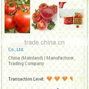 Primary Ingredient Hot Sell High Quality Sachet Tomato Paste thumbnail-6