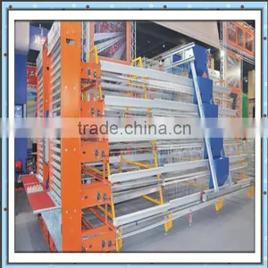 Full Automatic Commercial Poultry Equipment for Best Sale thumbnail-1