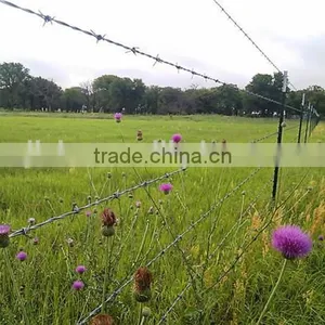 1.6mm Steel Wire Positive and Negative Twisted Barbed Wire Machine thumbnail-6