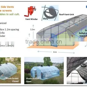 Tunnel Greenhouse thumbnail-3
