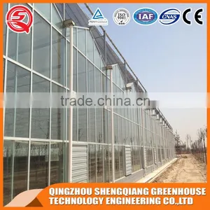 Large Glass Agricultural Greenhouses Indoor Glass Greenhouse Used thumbnail-2