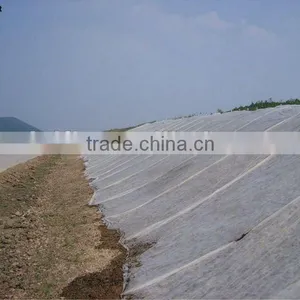 Super Wide 6.5m PP Nonwoven Rolls thumbnail-1