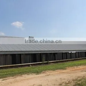 China DFX Cheap Poultry Farming Prefabricated Industrial Chicken House thumbnail-6