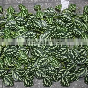 Plastic Boxwood Mat Cheap China Manufacture Decoration Plastic Topiary Grass thumbnail-3