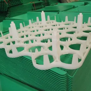 Plastic Egg Tray (chicken Eggs, Duck Eggs, Breeding Eggs) thumbnail-3