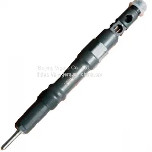 Embr00101d Diesel Engine Injector Fuel Injector Common Rail Diesel Fuel Injector Delphi thumbnail-1
