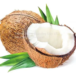 Jiejing Free Sample Edible Oil Decolorization Australian 206 Bleaching Earth Activated Bentonite Clay Price for Palm thumbnail-4