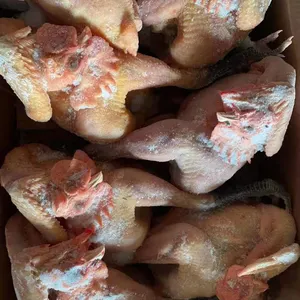 China Wholesale Best Selling Frozen Whole Raw Chicken Black Feet Chicken thumbnail-3