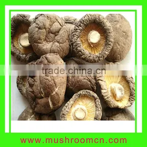 Export Dried Mushrooms in High Quality thumbnail-1