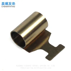 Stainless Steel Constant Force Spring for Food Boosters thumbnail-3