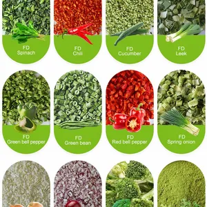 High Quality Comprehensive Fruit and Vegetable Mixed Vegetable Fruit Additive Free Daily Consumption Healthy Snacks thumbnail-3