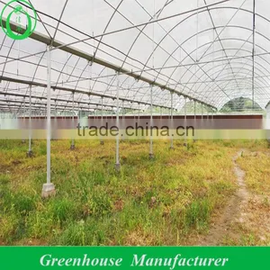 Hot Dipped Galvanized Frame Double Layers Inflatable Greenhouse thumbnail-1