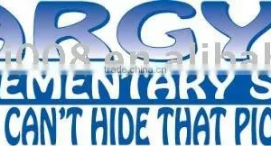 Car Window Static Sticker thumbnail-1