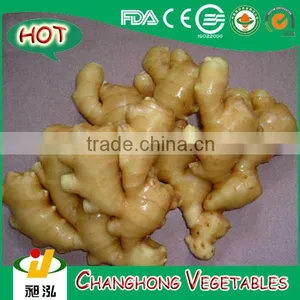 Fresh Ginger With 8kg/mesh Bag thumbnail-1
