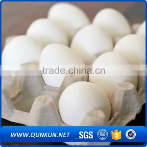 Cheap Price Hard Plastic Trays thumbnail-2