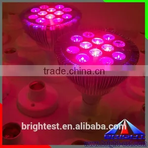 Disco Light 12w Mini Spot Led Rgb Dmx Moving Spot Lighting for House thumbnail-3
