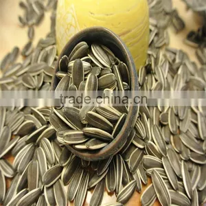 Sunflower Seeds Ton Price High Quality thumbnail-2