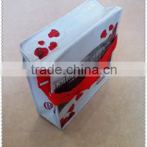 Ristorante pp Woven With Laminated Cooler Bags for Food thumbnail-1